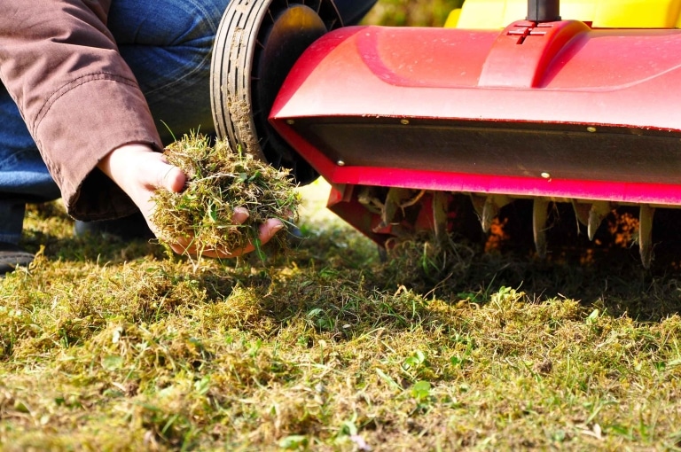 roter Rasen-Vertikutierer mit ausgearbeitetem trockenen Gras
